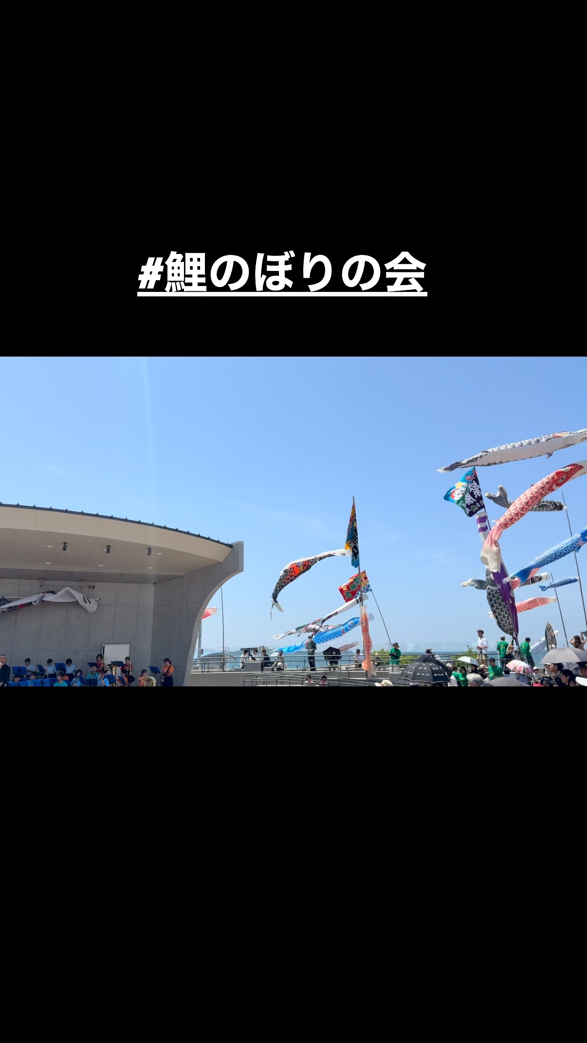 扇ヶ浜の鯉のぼりの会
