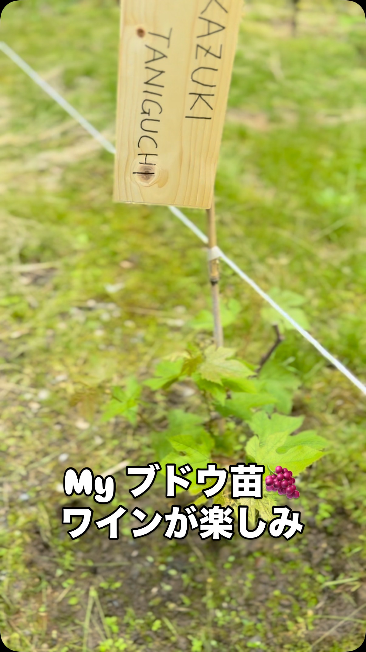 「輝け三川！」の拠点披露イベント