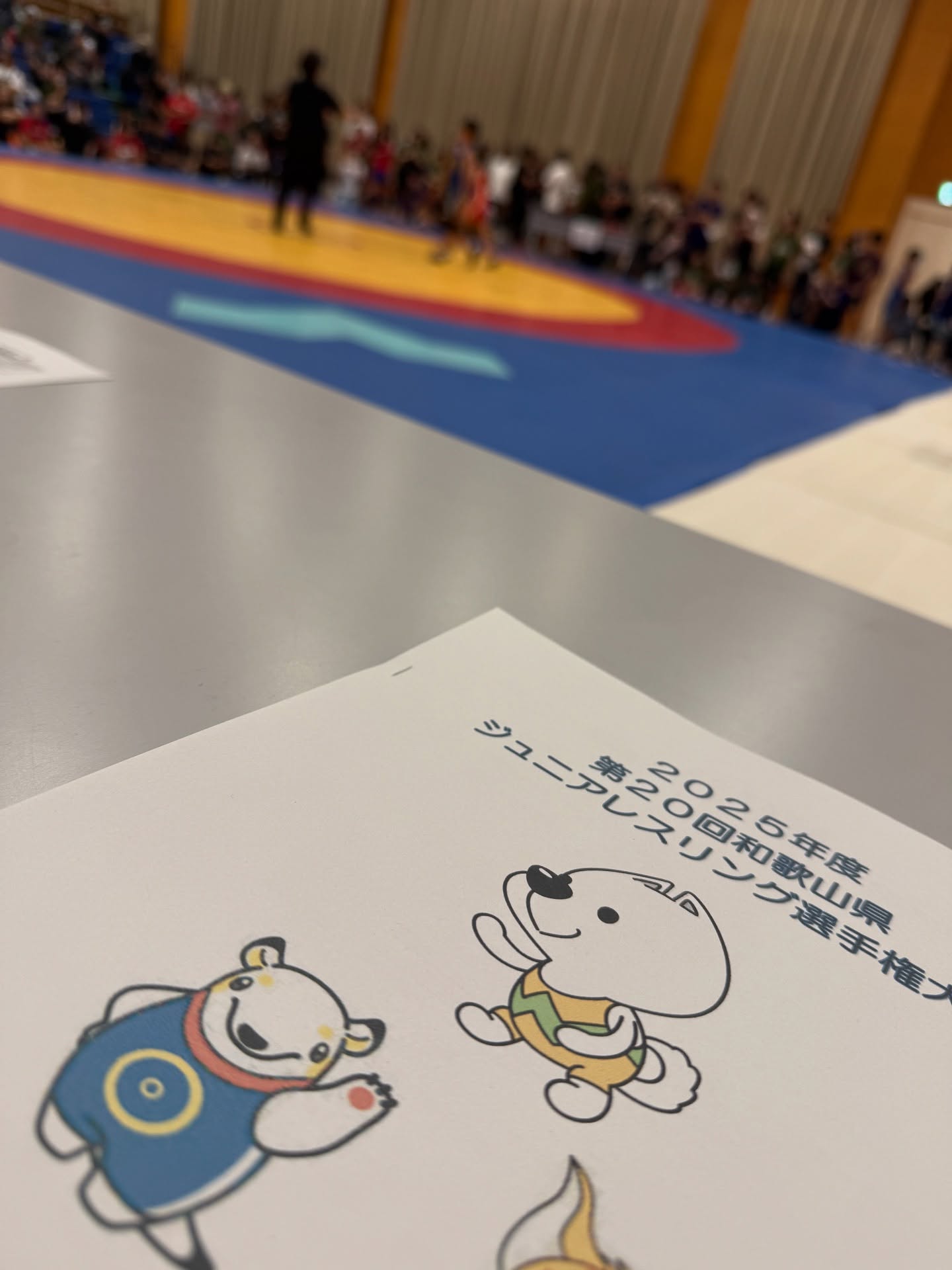 今日はちびっこレスリング大会です