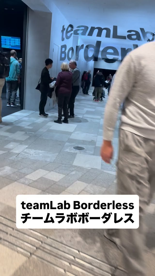 午後から予約していたチームラボボーダレスへ