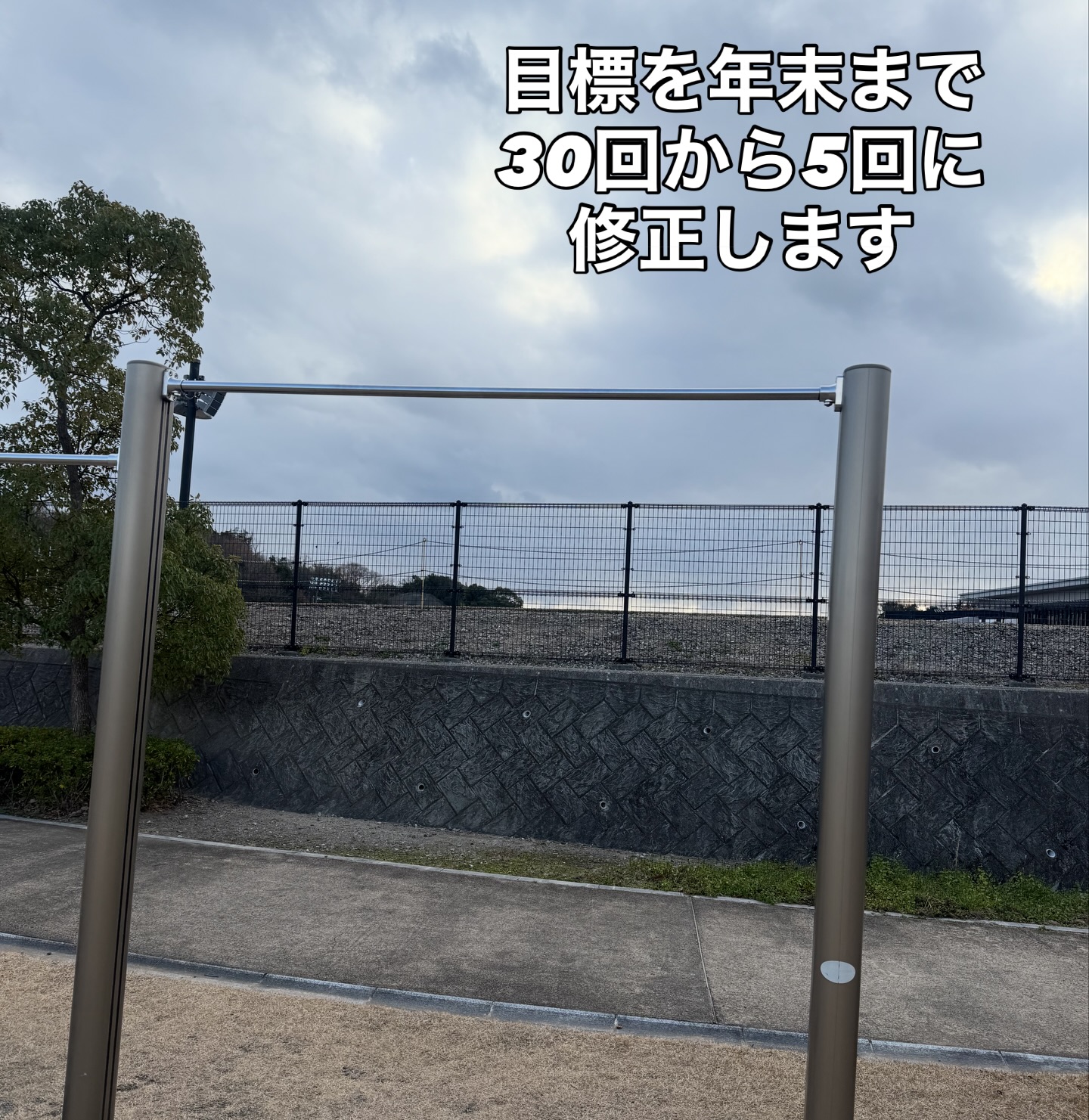 1/11のストリートワークアウト練習体験に参加する前にならしに行ってきました