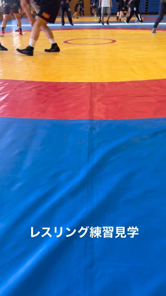 今日はレスリング練習見学。