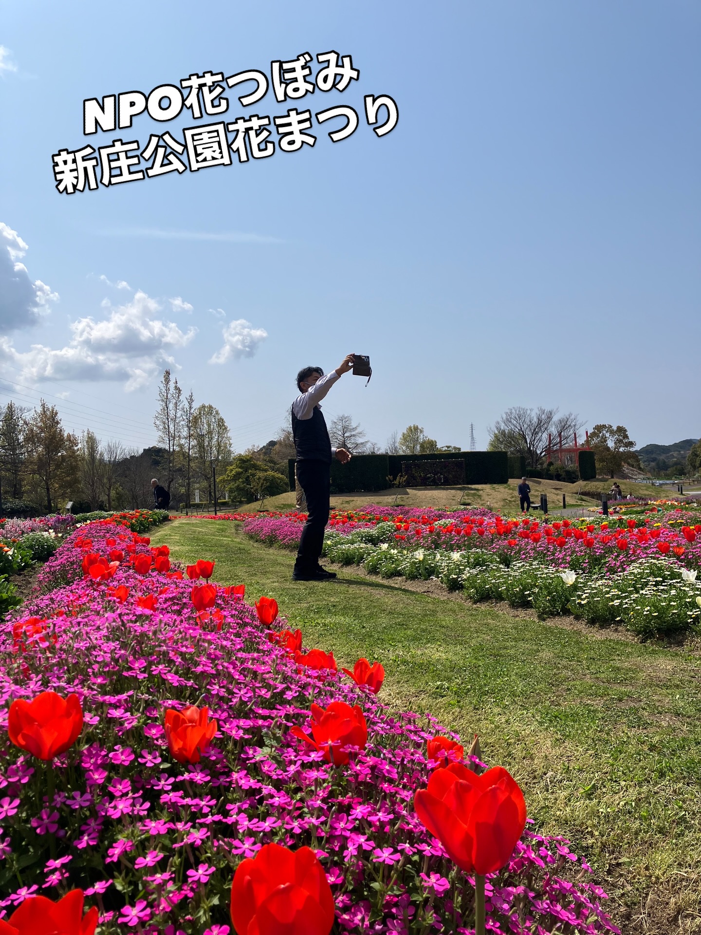 NPO花つぼみさんの新庄公園花まつりにきました