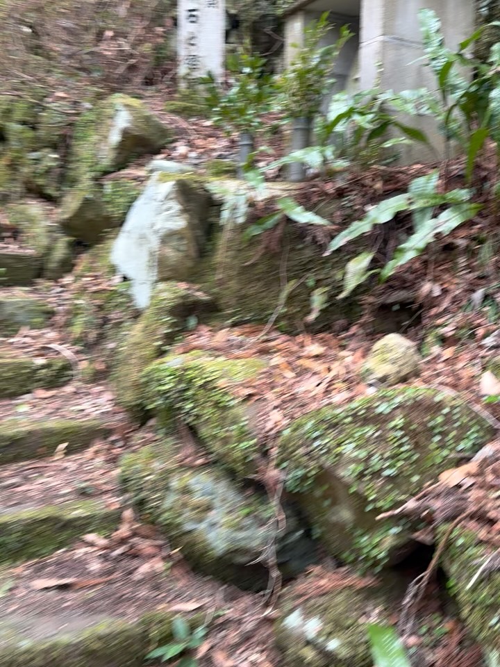 西大谷乳大師さくらまつり