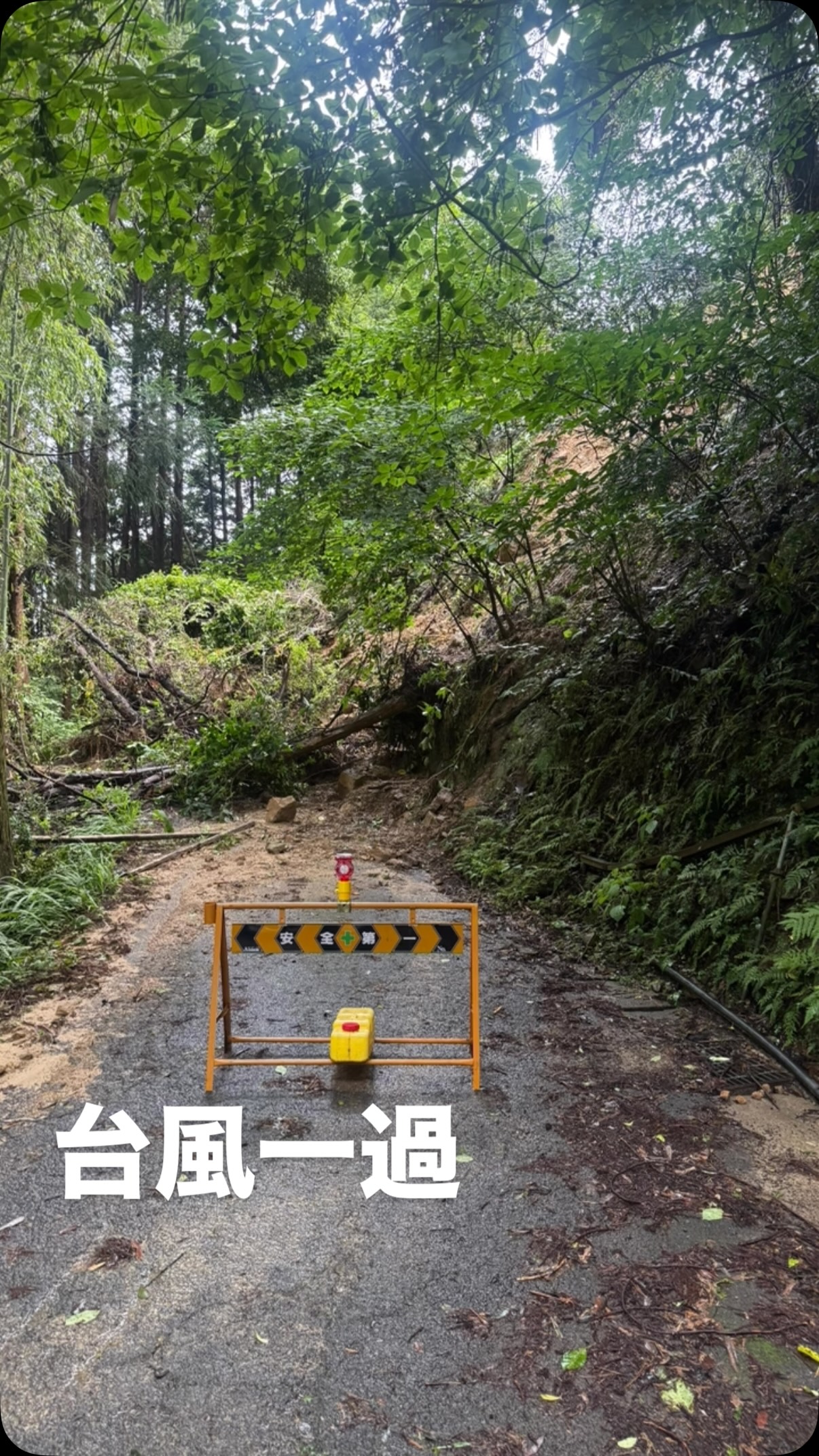 台風一過。