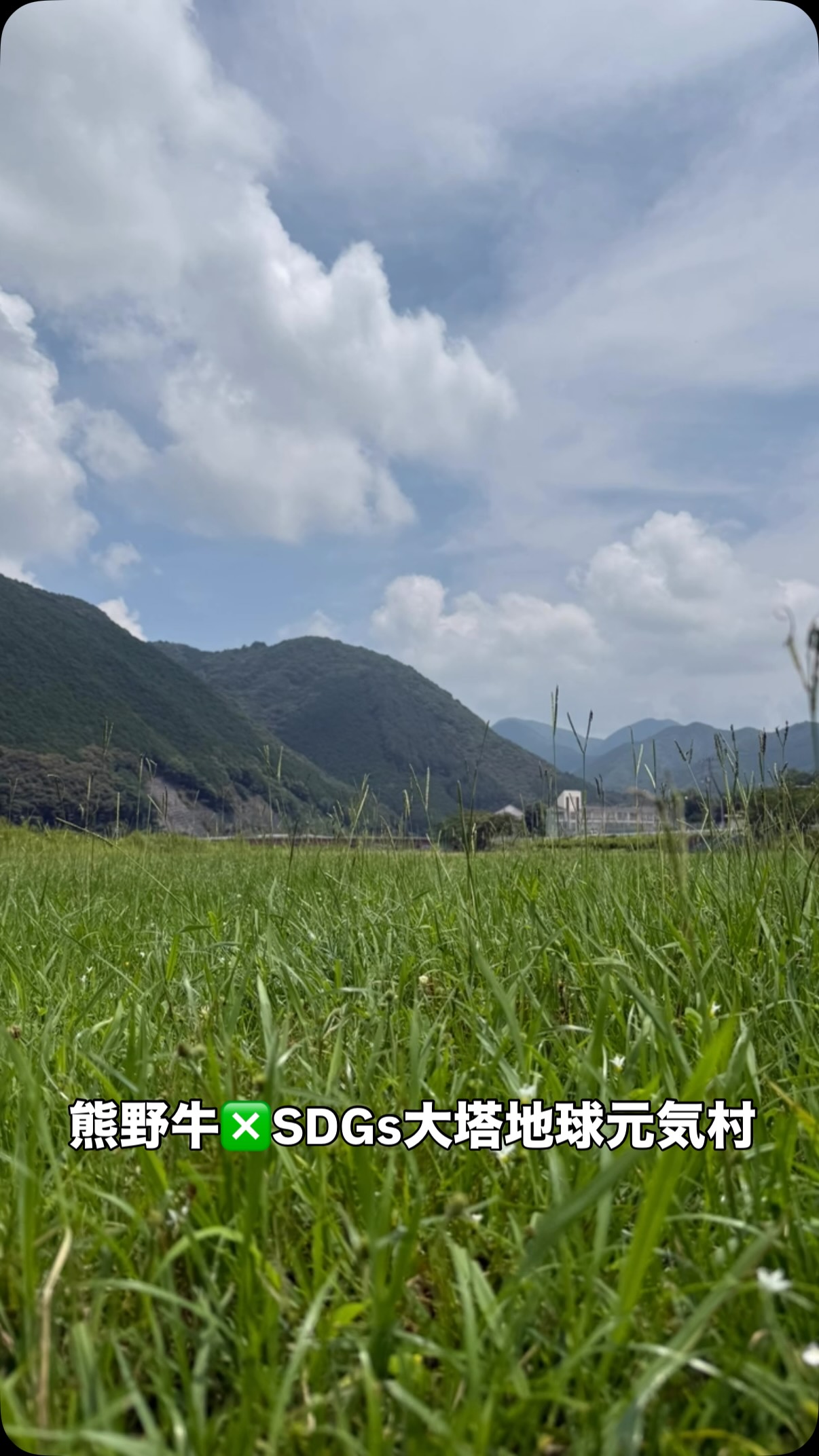 お昼前、いい天気の大塔村。